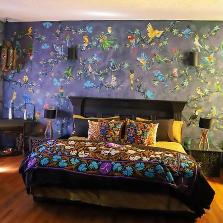 Boutique Hotel And Gallery In San Angel Inn メキシコシティ エクステリア 写真