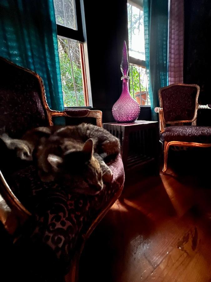 Boutique Hotel And Gallery In San Angel Inn メキシコシティ エクステリア 写真