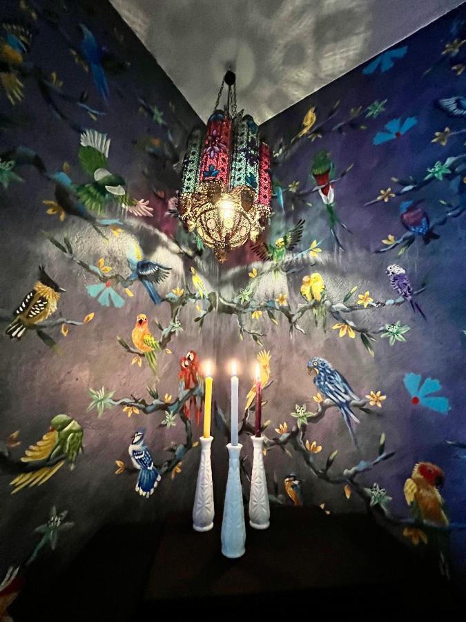 Boutique Hotel And Gallery In San Angel Inn メキシコシティ エクステリア 写真