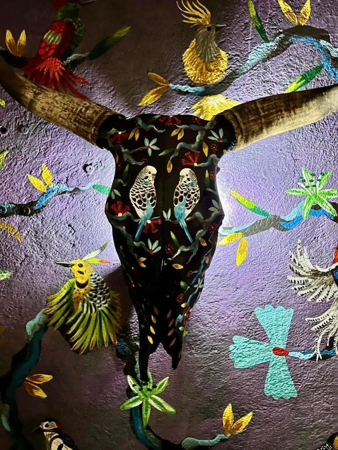 Boutique Hotel And Gallery In San Angel Inn メキシコシティ エクステリア 写真