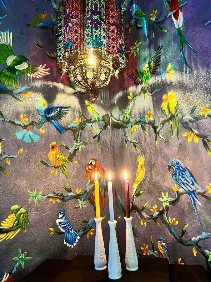 Boutique Hotel And Gallery In San Angel Inn メキシコシティ エクステリア 写真