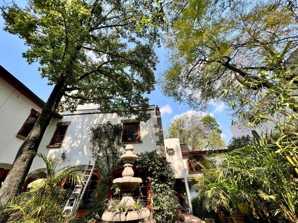 Boutique Hotel And Gallery In San Angel Inn メキシコシティ エクステリア 写真