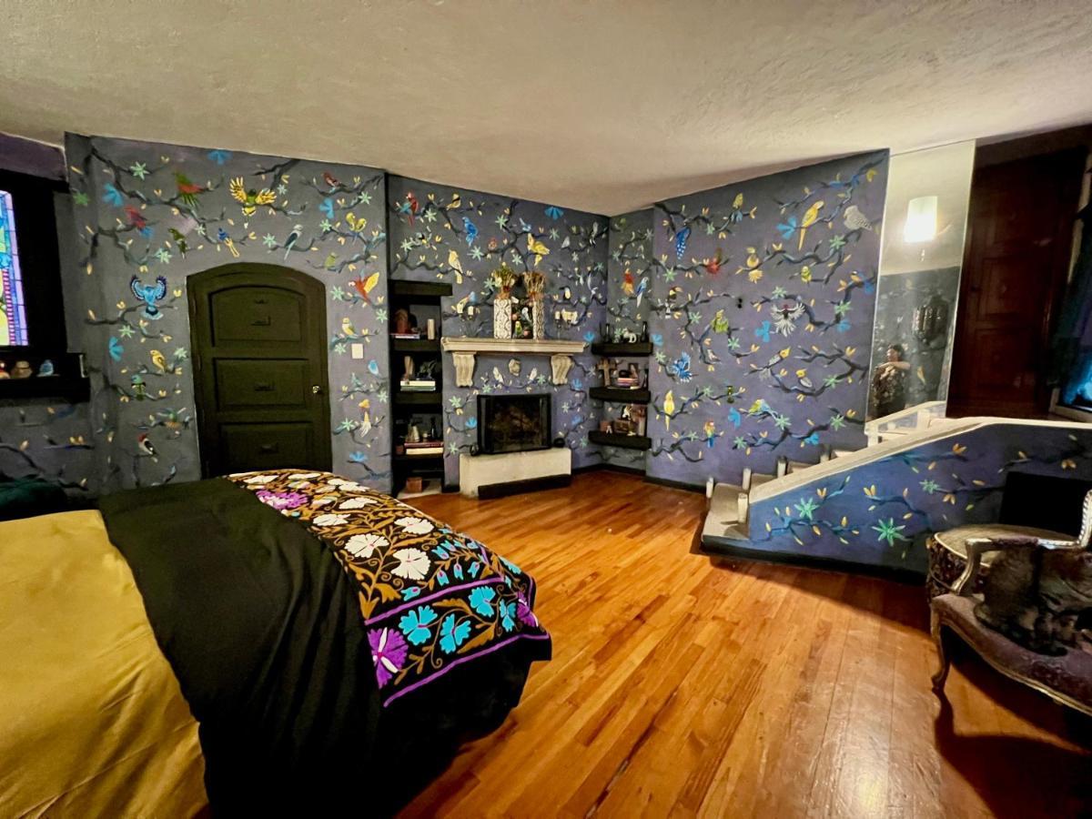 Boutique Hotel And Gallery In San Angel Inn メキシコシティ エクステリア 写真