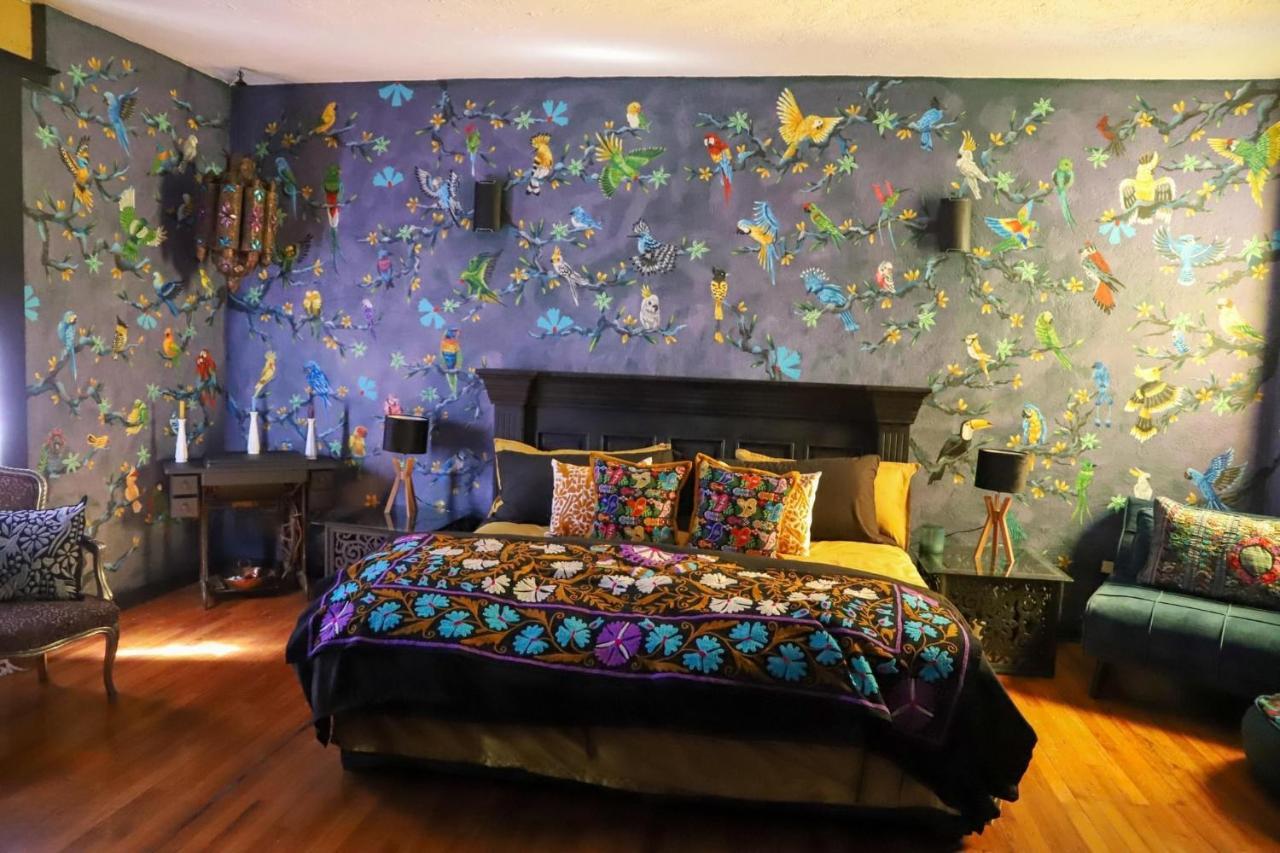 Boutique Hotel And Gallery In San Angel Inn メキシコシティ エクステリア 写真
